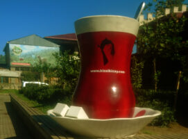 Refresh and enrich your Life