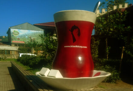 Refresh and enrich your Life